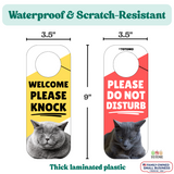Do Not Disturb Door Knob Hanger Sign, Cute Cat Pet Design, Away / at Lunch / Please Knock, 3.5" x 9"